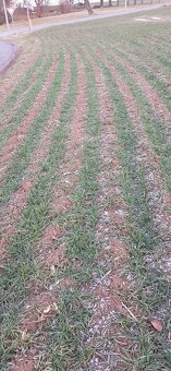 Mzuri secí stroj-strip till (pásové zpracování půdy) - 12