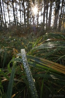 Canon RF 16 mm F2.8 STM - 12