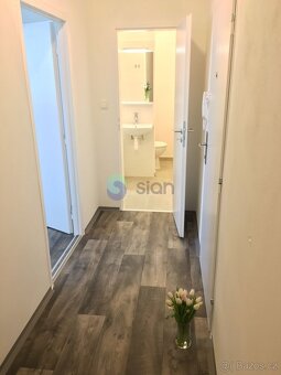 Podnájem bytu 2+1 44 m2, ul. Jaroslava Misky 68/4, Ostrava - - 12