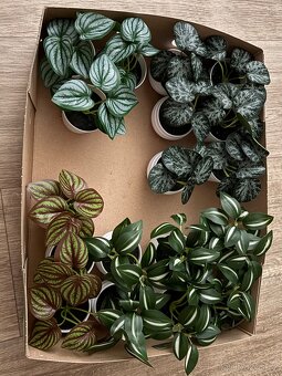 Věci na svatbu - 12