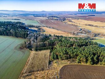 Prodej pole, 24512 m², Horšovský Týn - 12