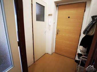 Byt 1+1 Havlíčkova 44m2 - 12