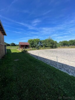 Pastevní ustájení i pro hřebce JINDŘICHŮV HRADEC - 12