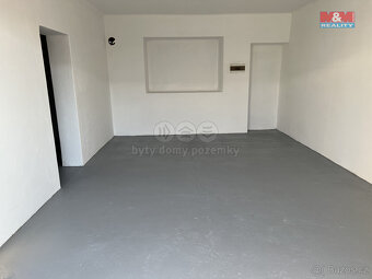 Prodej výrobního objektu, 4001 m², Veselí nad Lužnicí - 12