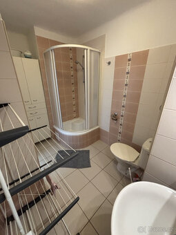 Pronájem bytu 1+1, Grünwaldova, České Budějovice 7, 11000 Kč - 12
