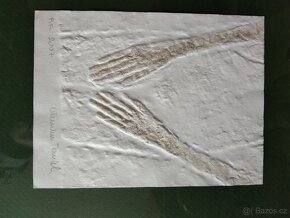 Prodám originální novoročenky, PF Olbrama Zoubka od 12000 - 12