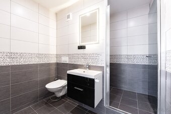 Prodej bytu 2+kk 48 m² Alejní, Chlumec - 12