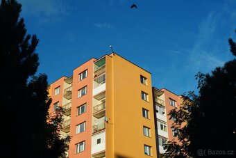 Auto Chinon Muliti-coated 50mm f1.4 Pentax - 12