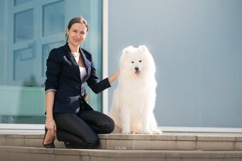 Samojed s FCI PP - LA TORRE ROJA - 12