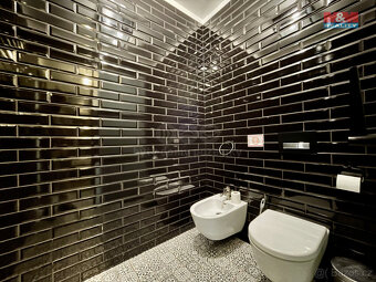 Pronájem bytu 3+kk, 115 m², Praha, ul. Revoluční - 12