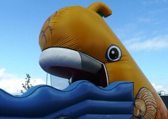 Prodám nafukovací atrakci Zlatá rybka - 12