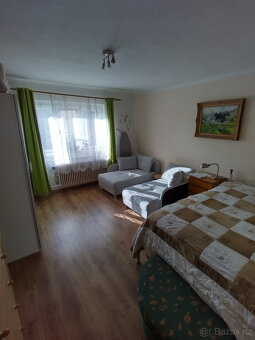 RD s pozemkem 6175m2 Závišice - 12