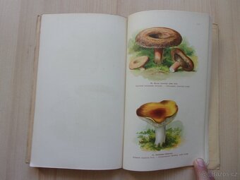 JAN JOHN - PŘÍRODOPIS HUB - HOUBY JEDLÉ A JEDOVATÉ - 12