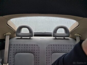 VW New Beetle - 12