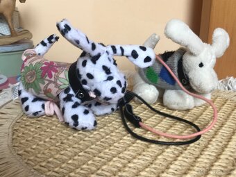 Panenka Hannah Gotz 2013 a 2017 - 12