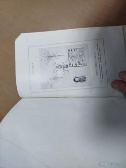 Konservování dřeva--1914--Dr. ING. Bedřich MOPLL--kniha vyda - 12