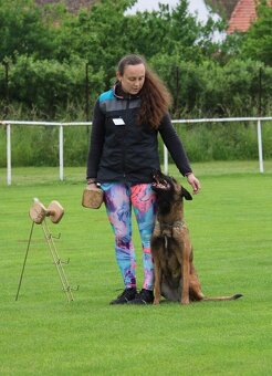 Belgický ovčák malinois s PP - 12