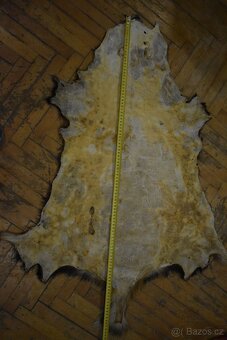 Jezevec č.4 - Ručně zpracovaná kožešina z české zvěře - 12