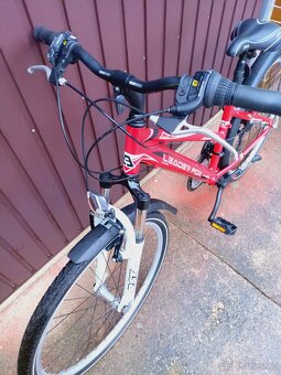 Kolo Leader Fox Maxim - 12