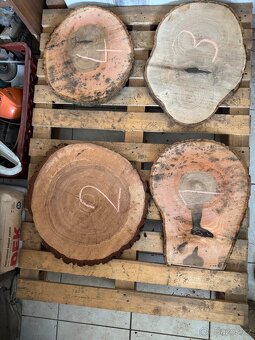 Akátové / jasanové Koláče , příčné rezy - 12