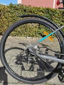 Kolo GT TRANSEO COMP GRY 2021 19"(US:L) - 12