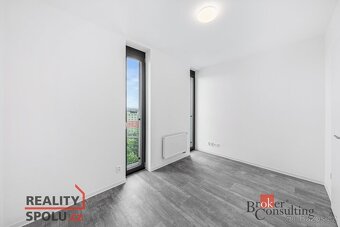 Pronájem, byty/4+kk, 118.49 m2, U Borského parku, Jižní Před - 12