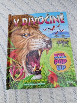 Hry a hračky pro děti - 12