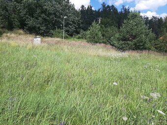 Stavební pozemek 1365m2 u přehrady Orlík - 12