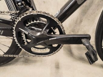 CIPOLLINI BOND - 12
