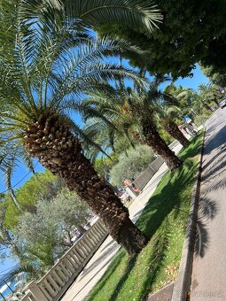 CRIKVENICA Chorvatsko, Kvarner - 12