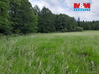 Prodej louky, 19732 m², Oselce - 12