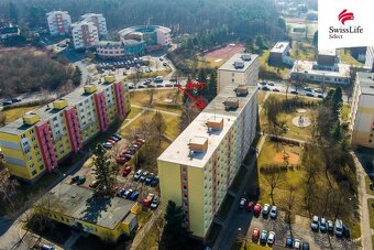 Prodej bytu 1+kk 20 m2 Popelnicová, Plzeň - 12
