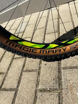Giant Trance 3 2017 - 12