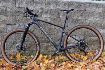 Cannondale scalpel ht carbon 2 - 12