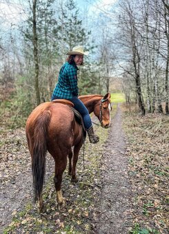 AQH KLISNA  2010 - PRODANÁ - 12