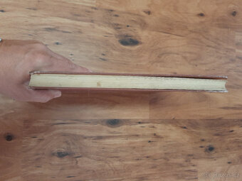 Památník IIX. Sletu všesokolského v Praze 1926 - 12