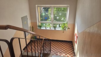 Byt 2+1, 66 m2,  Benešovo nám., Pardubice - 12