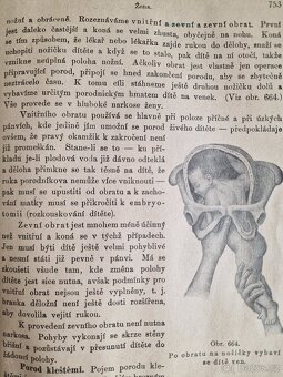 Bylinkářství  1900?  Kniha o domacím léčení velmi používaná. - 12