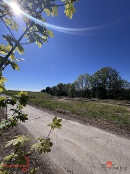 Prodej, pozemky/ostatní, 5105 m2, Razová, Bruntál [ID 60676] - 12