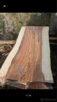 Fošny jasan,modřín ,XXL fošny - 12