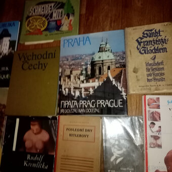 PRODÁM RŮZNÉ STARÉ KNIHY - UMĚNÍ HISTORIE, MÍSTOPIS AJ. - 12