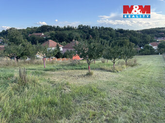 Prodej pozemku k bydlení, 7835 m², Borkovany - 12