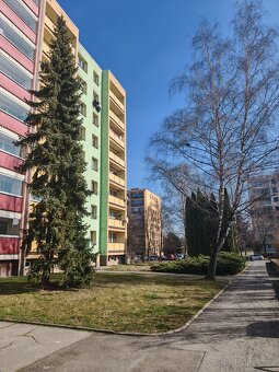 Prodej bytu 3+1 s lodžií - 12