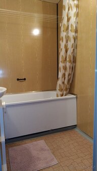 Pronájem bytu 2+1 47m² - 12