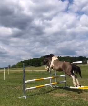 Úžasný Valášek do pony sportu - 12