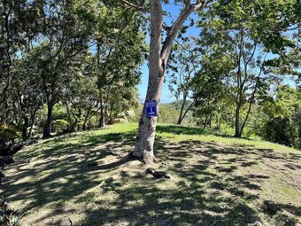 Lot 1 Bodden Bight Estate, Roatan - 12