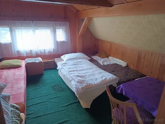 Chata/Dům Poniklá - 12