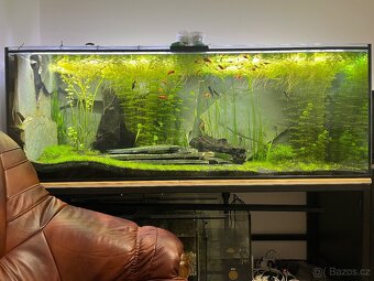 Akvárium cca 900litrů - 12