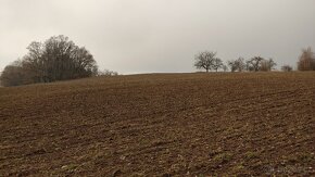 Investiční pozemky k prodeji - orná půda - 12