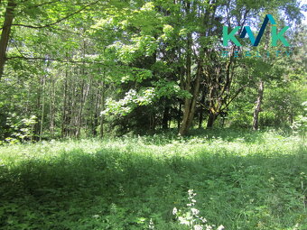 Prodej pozemku o velikosti 3 489 m2, v OV, Tisová u Nejdku - 12